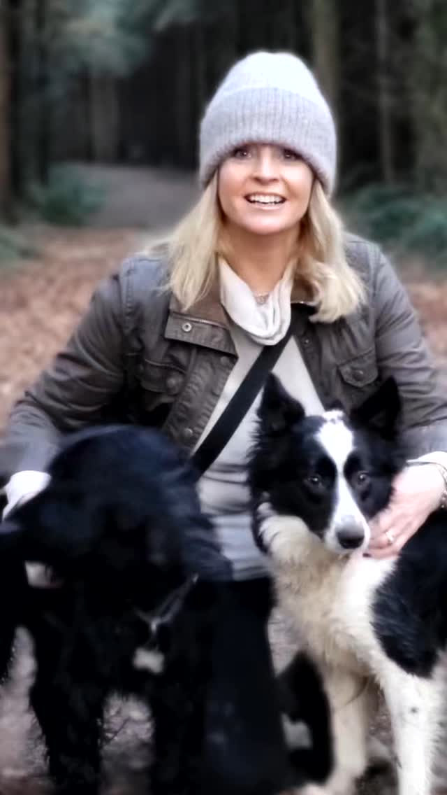 The team with a friendly dog